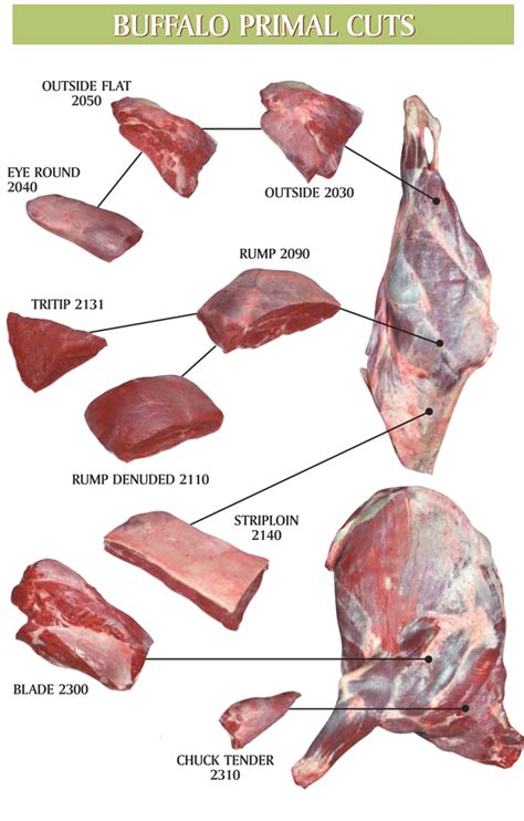 Buffalo Meat Cuts – Windy Hills