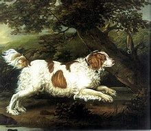 Rare and Extinct Breeds Thread | UK Pet Forums Forum