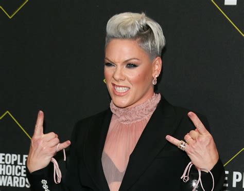 Pink's Acceptance Speech at the 2019 People's Choice Awards | POPSUGAR ...