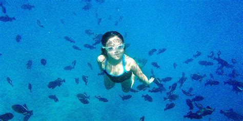 List Of Best Snorkeling On Honolulu 2022