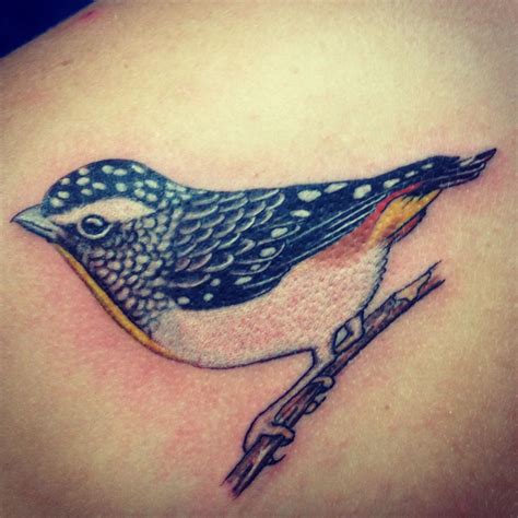 Australian Native plant botanical tattoos