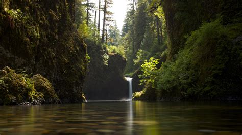 Tranquil Falls in 4K Ultra HD