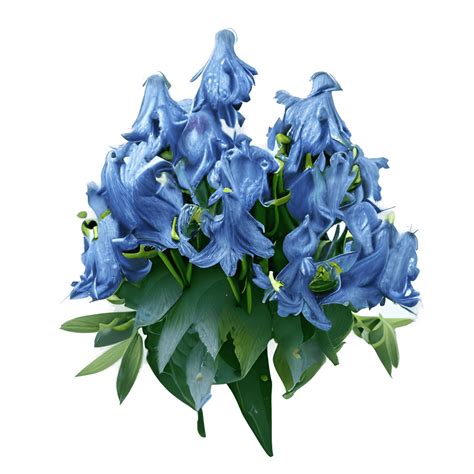 Bluebell Flowers Bouquet · Creative Fabrica