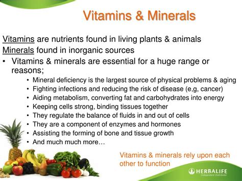 PPT - Vitamins, Minerals and Antioxidants PowerPoint Presentation, free download - ID:5586918