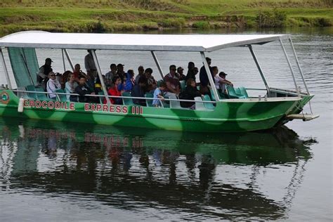 Daintree River Cruise 2024 - Port Douglas