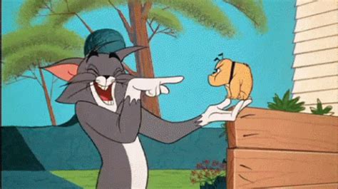 توم وجيري ضحك كارتون GIF – Tom And Jerry Tom Jerry – discover and share GIFs