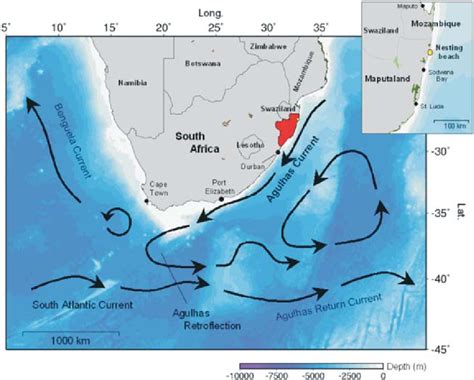 Ocean Currents In Africa Map : World Map All Sea Currents Royalty Free Vector Image - If you ...