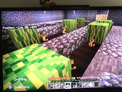 [最も共有された！ √] planting melon seeds minecraft 494779-How to grow melon seeds minecraft - Joshimageswms