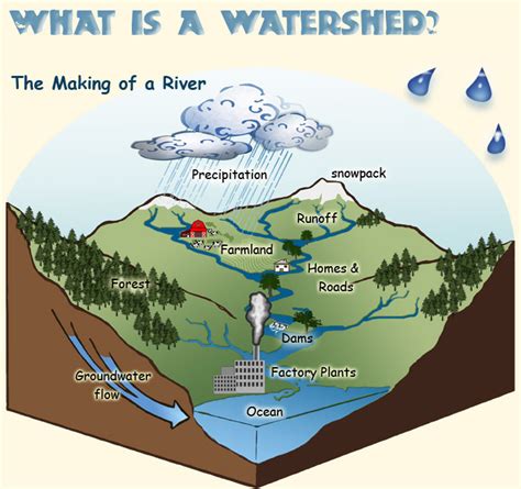 Watershed Diagram River Talk