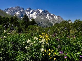 La Meije (French Alps) | Jean-Paul LONGCHAMP | Flickr