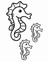 Seahorse Coloring Pages Free Printable PDF sketch template