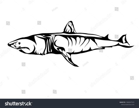 Great White Shark Silhouette Isolated On Stock Vector (Royalty Free) 1868647525 | Shutterstock