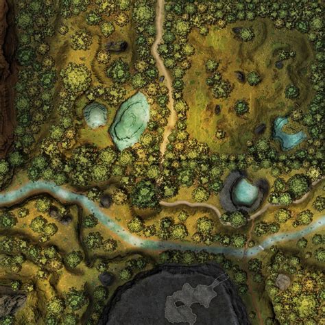 Huge 120x120 Wilderness Map - CZRPG | Battlemaps | DriveThruRPG.com