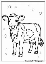 Best 13 Cow Coloring Line Art For Children Easy Vector  sketch template