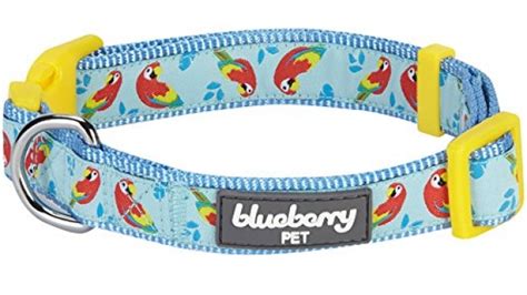 Blueberry Pet 7 Patterns Statement Funny Parrot Designer Dog Collar ...