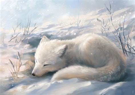 Arctic Fox, an art print by Ludvik SKP - INPRNT | Cute animal drawings, Animated animals, Anime ...