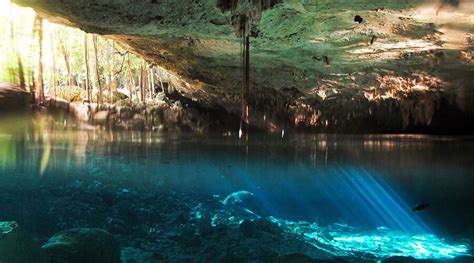 Snorkeling at the Cenotes in México | Cancun Scuba Center