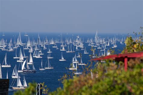 Trieste’s 52nd Barcolana Regatta takes to the sea! - InTrieste