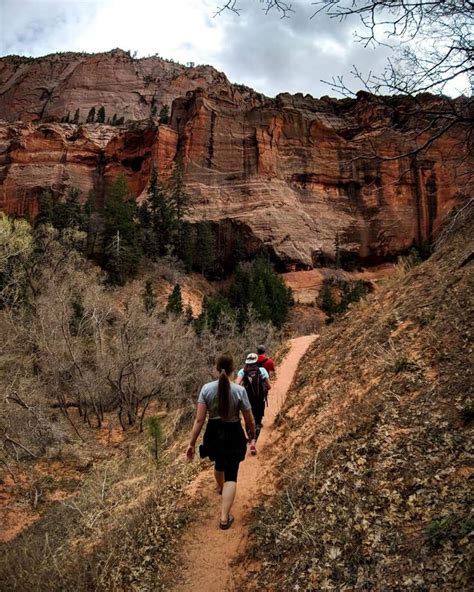 Taylor Creek South Fork Trail- Forgotten Hike in Zion National Park ...