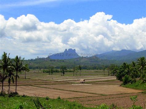 Agroecosystem and the Rise of Agroecology for 8 Billion People