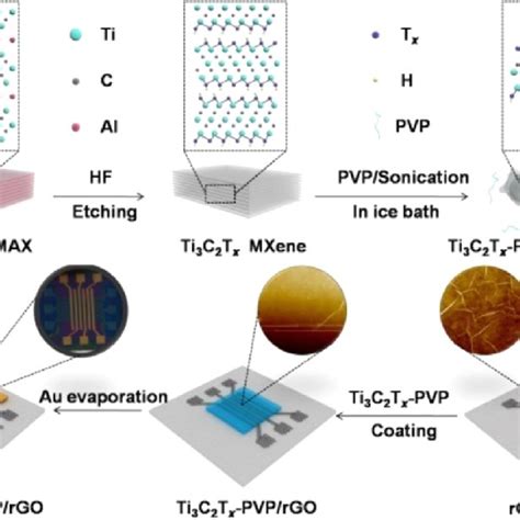 Schematic diagram for the synthesis of PVP-functionalized Ti 3 C 2 T x ...