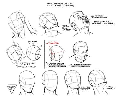 Will Burns | Drawing heads, Guided drawing, Face drawing