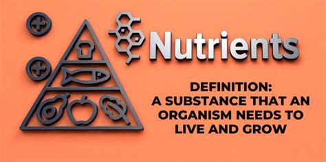 7 INCREDIBLY COMMON NUTRIENT DEFICIENCIES – Comprehensive ...