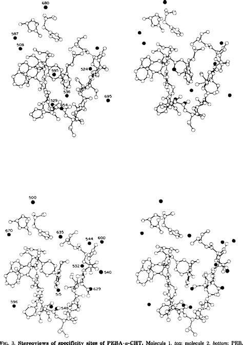 Figure 3 from Structure of a tetrahedral transition state complex of alpha-chymotrypsin dimer at ...