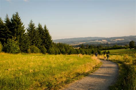 Cooper Mountain Nature Park ready for prescribed burn | Metro