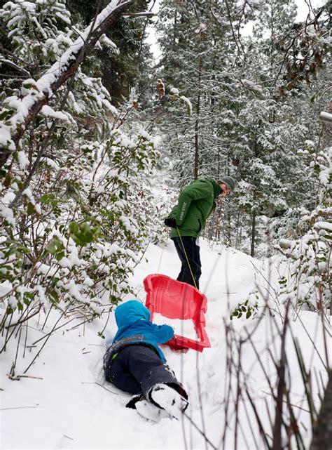 Naramata Creek Park in the Winter – Backwoods Mama