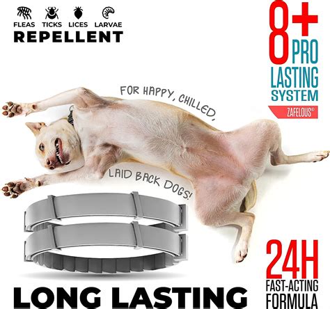 Flea and Tick Prevention for Dogs - Flea Collar - 2 Count