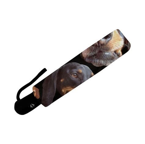 Dachshund Umbrella Dog Umbrella Funny Photos of Doxies - Etsy