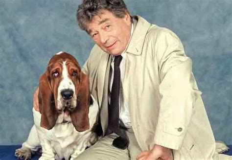 Adieu Columbo | Basset dog, Basset hound, Dog movies