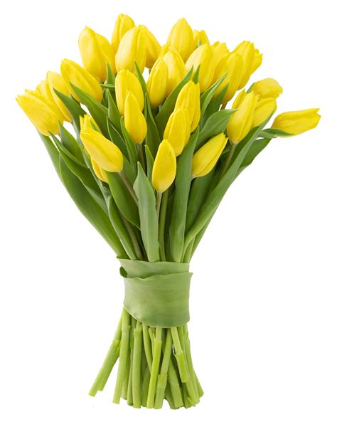 Blooms2Door 20 Yellow Tulips (Farm-Fresh Flowers, Cut-to-Order, and Homegrown in the USA ...