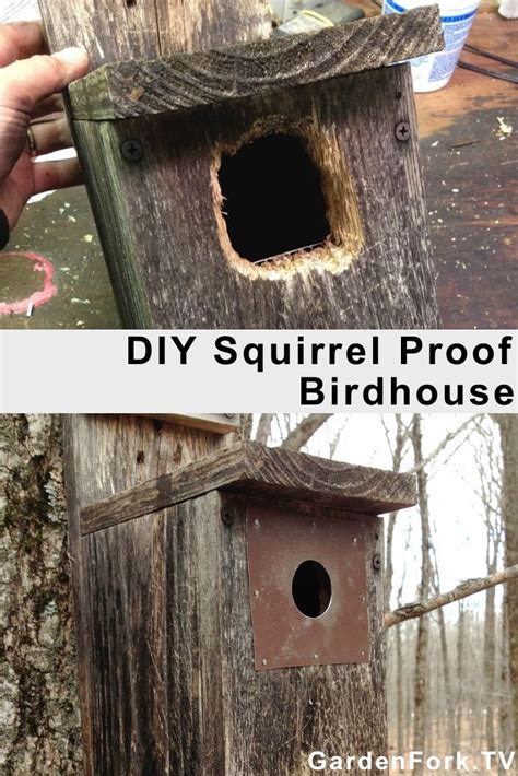 DIY Squirrel Proof Birdhouse How To - keep squirrels out! More: http://www.gardenfork.tv ...