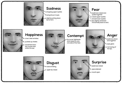 Facial Expressions of Emotions (Microexpressions) - Practical Psychology