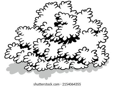 Drawing Dense Shrub Cartoon Illustration Isolated Stock Vector (Royalty Free) 2154064355 ...