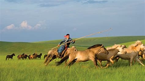 Saban, a Mongolian horse festival | All Horse Breeds