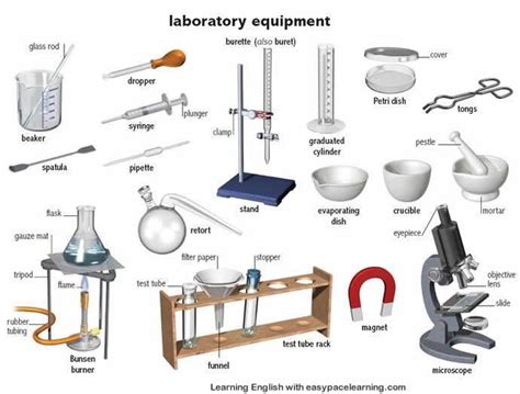 Image result for microbiology laboratory equipments and their uses pdf ...