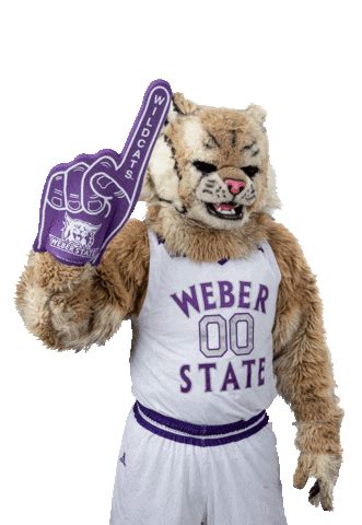 Weber State Wildcats Sticker by Weber State University for iOS & Android | GIPHY