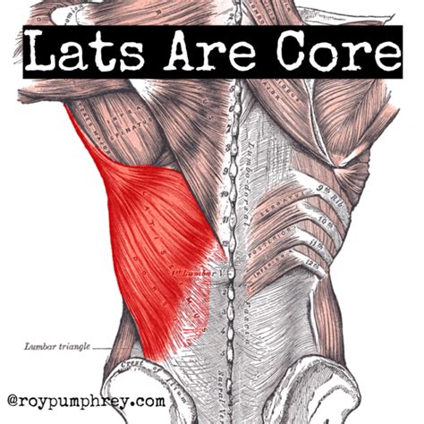 Lats are Core: Engage the Lats to Create TRUNK Superstiffness