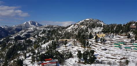 Snowfall Kanatal, Dhanaulti, Uttarakhand - Tripoto