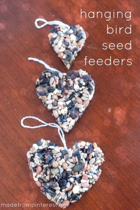 Hanging Bird Seed Feeders - Made From Pinterest | Bird seed feeders ...