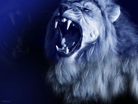 Blue Lion Wallpapers - Wallpaper Cave