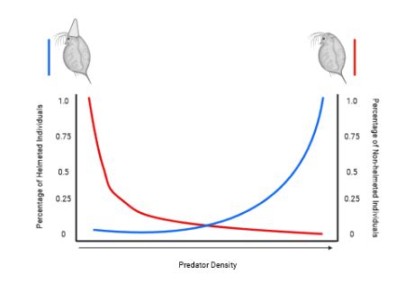 Analyzing Examples of Phenotypic Plasticity Practice | Biology Practice ...