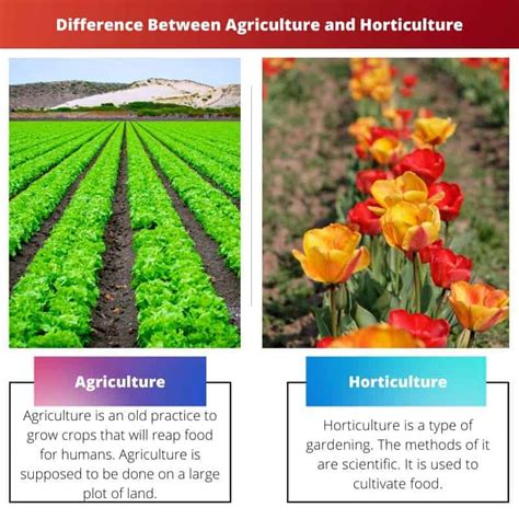 Agriculture vs Horticulture: Difference and Comparison