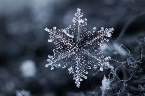 Download Macro Artistic Snowflake HD Wallpaper