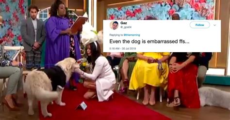 A Woman Just 'Married' Her Dog On Live Television, And People Don't Know How To Feel About It ...