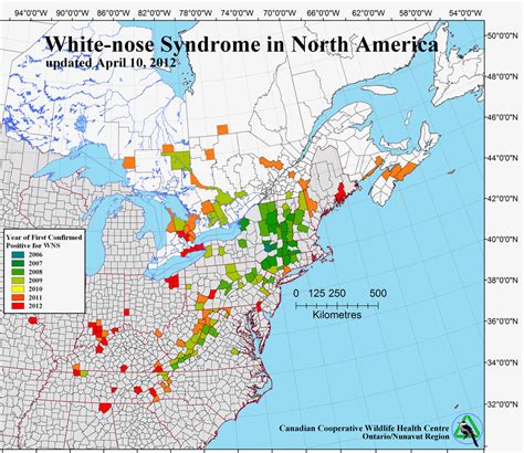 White-nose Syndrome Continues to Spread - Healthy Wildlife