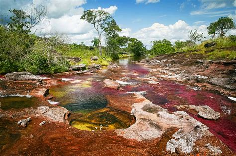 Caño Cristales : Travel guide